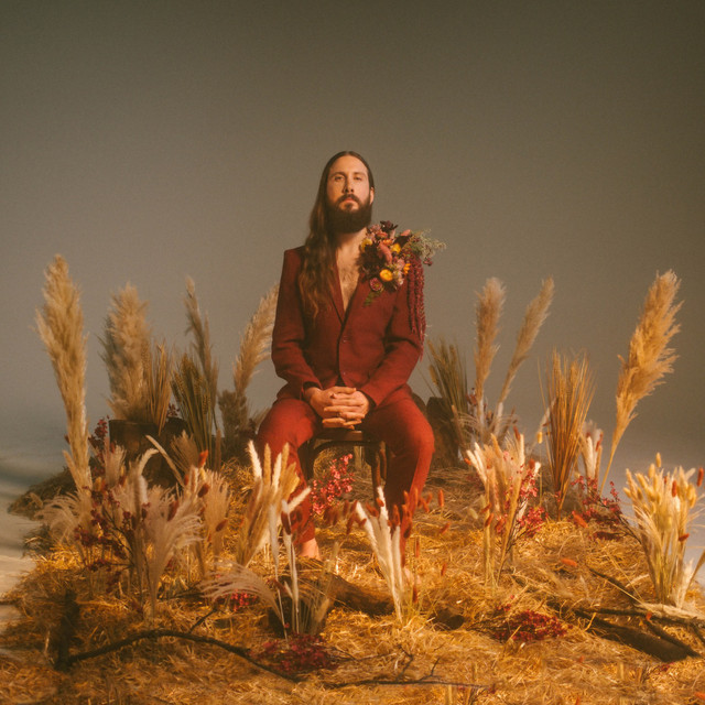 Peace Somehow by Avi Kaplan album cover