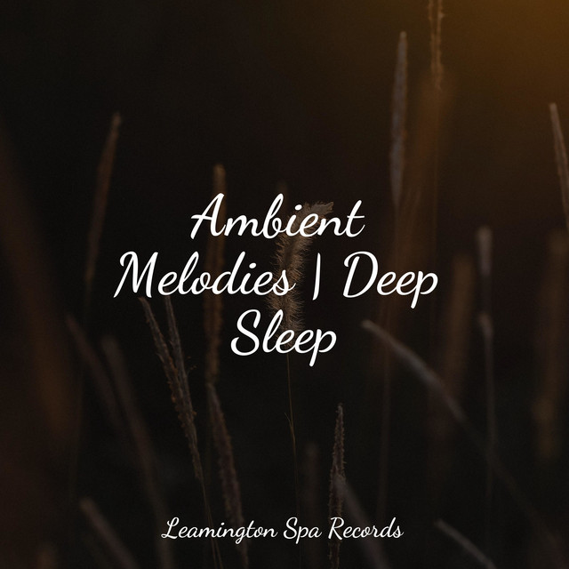 Ambient Melodies | Deep Sleep - Album by Relaxing Nature Music | Spotify