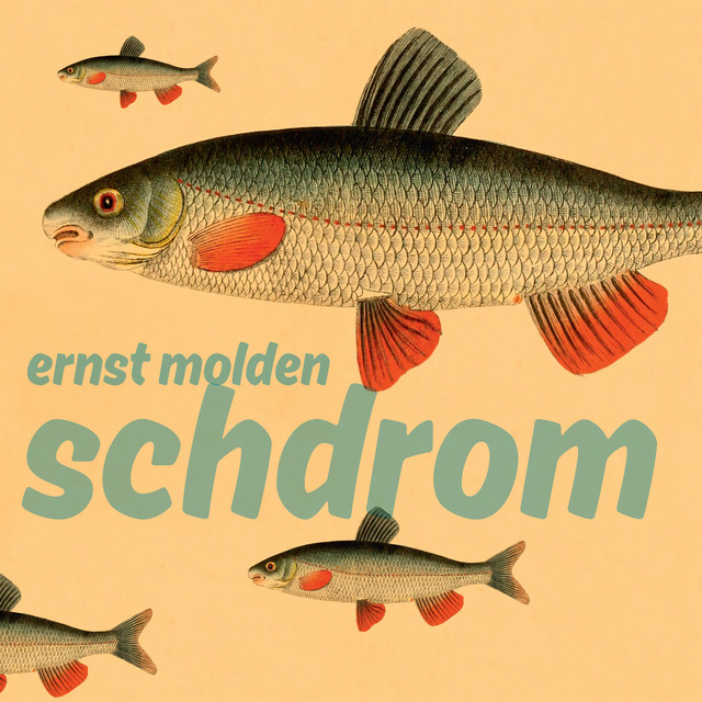 Schdrom cover art