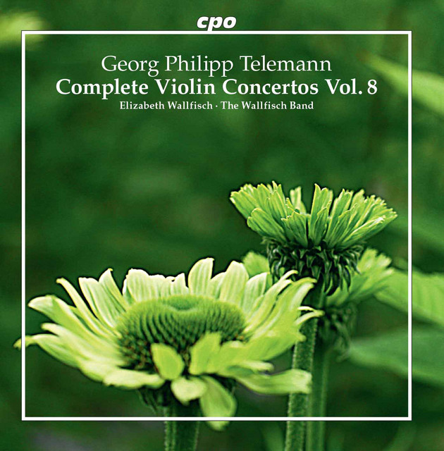 Double Violin Concerto in G Major, TWV 52:G2: IV. Presto cover art
