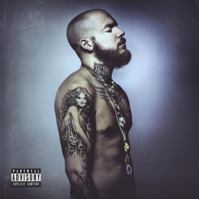 The Indigo Kid cover art