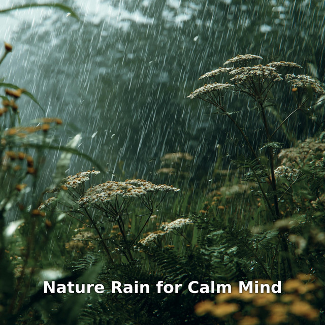 Nature Rain for Calm Mind cover art