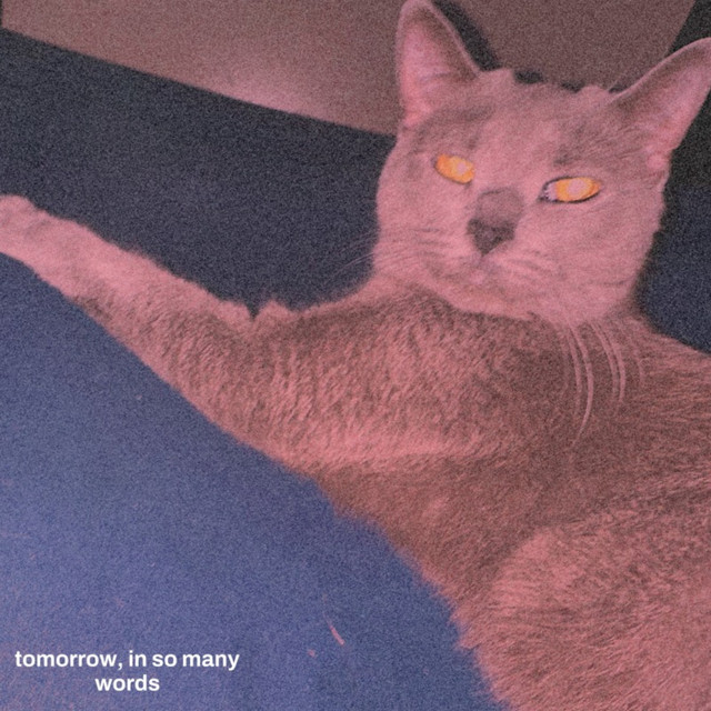 tomorrow, in so many words cover art