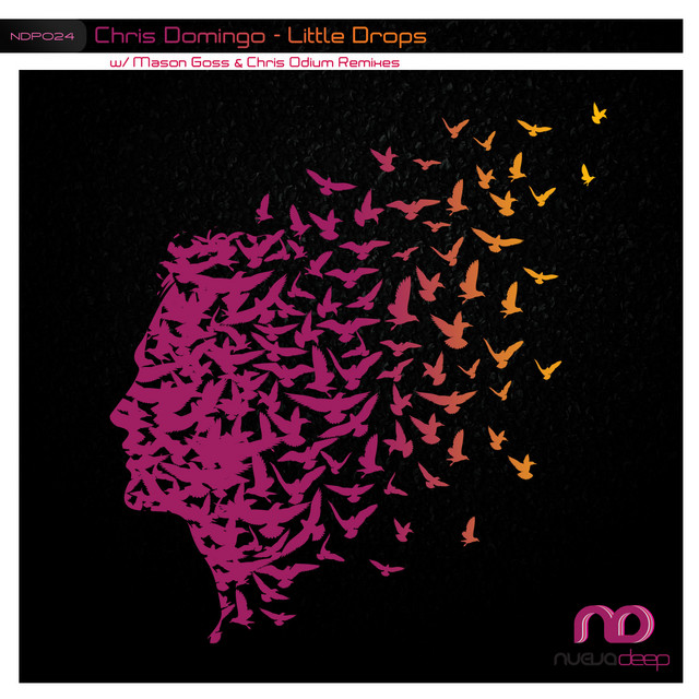 Little Drops - Mason Goss Remix cover art