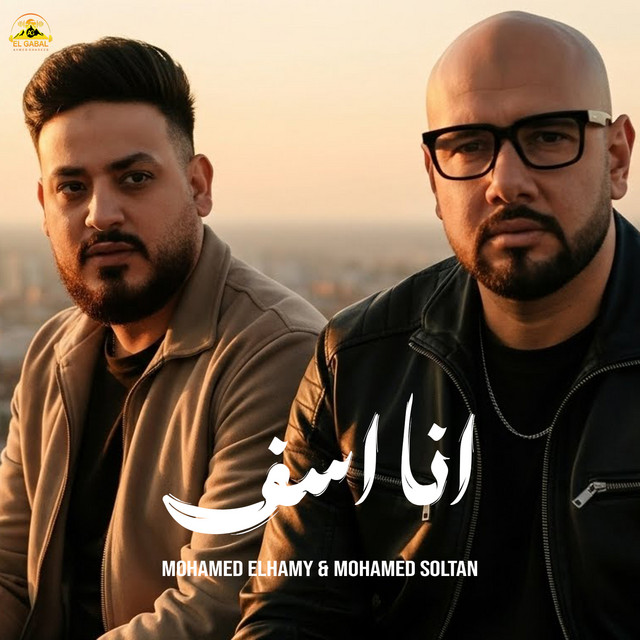 محمد الهامى