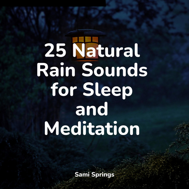 25 Natural Rain Sounds for Sleep and Meditation - Album by ...
