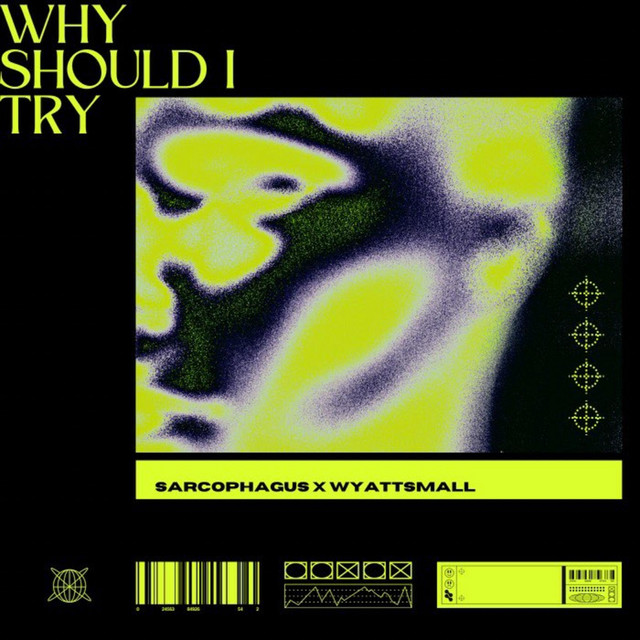 Why Should I Try? cover art