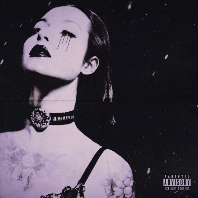 Обкладинка: Amnesia (Deya) — Icegxrden