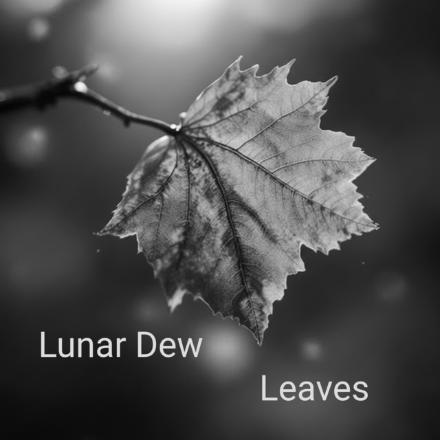 Lunar Dew