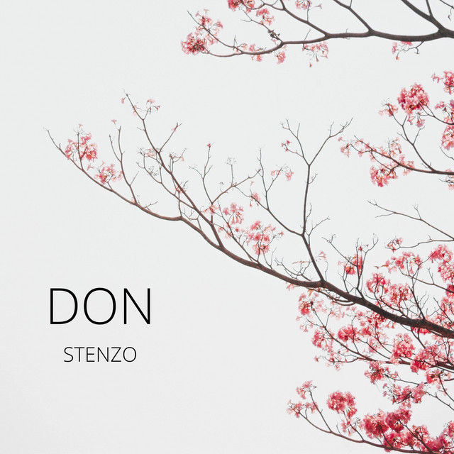 Don cover art