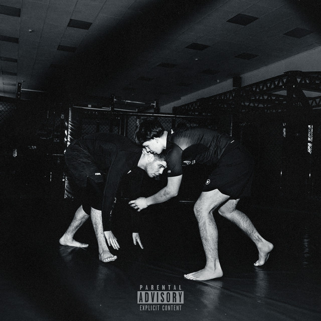 Cover art: Брат Набрал — 25Vision