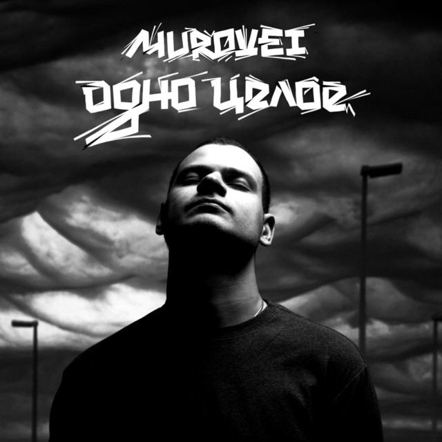 Одно целое cover art