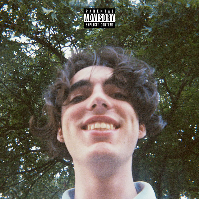 Fly cover art