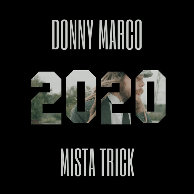 2020 artwork