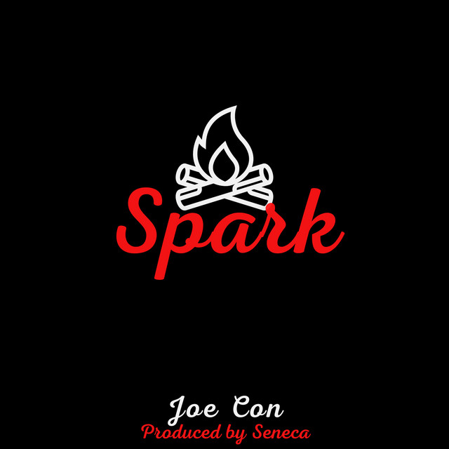 Spark cover