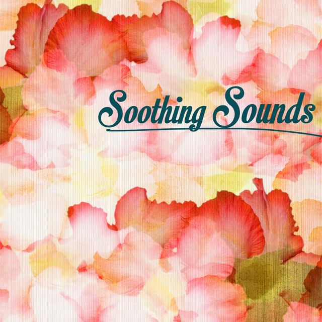 a-calm-song-song-and-lyrics-by-soothing-music-ensamble-spotify