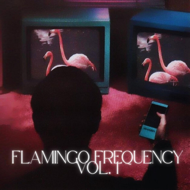 Flamingo Frequency, Vol. 1 - EP by City Nine | Spotify