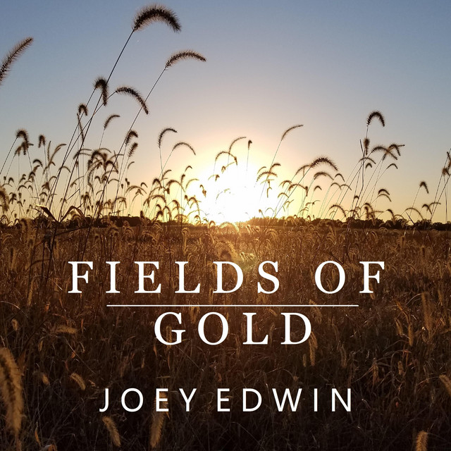 Fields of Gold (Instrumental Version) cover