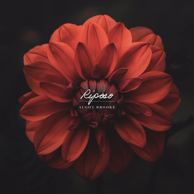 Cover of Riposo by Algot Brooke