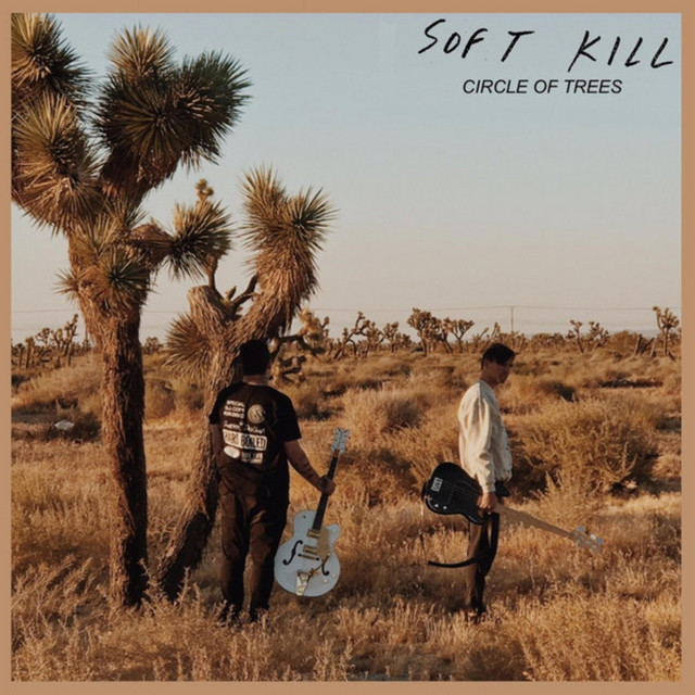 Circle of Trees cover art