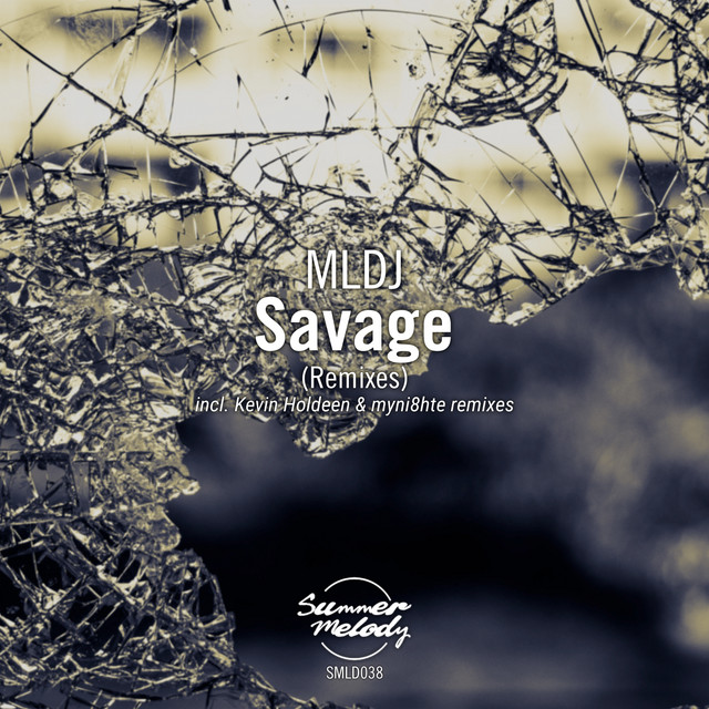 Savage (Remixes) cover