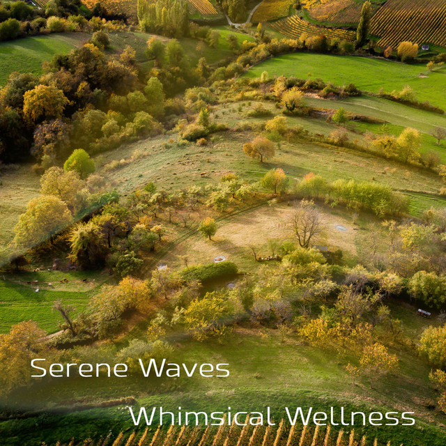Whimsical Wellness cover art