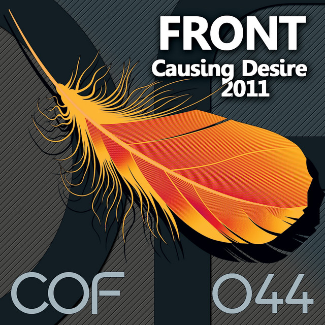 Causing Desire 2011 cover
