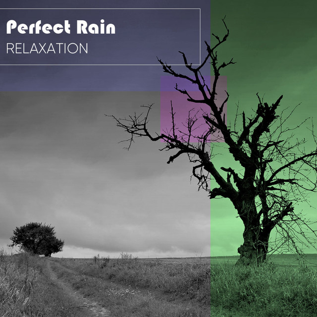 Perfect Rain Relaxation cover art