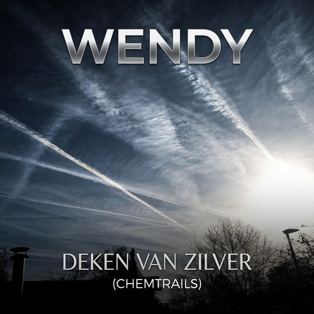 Wendy (Deken van Zilver (chemtrails) - Single by Haantime | Spotify