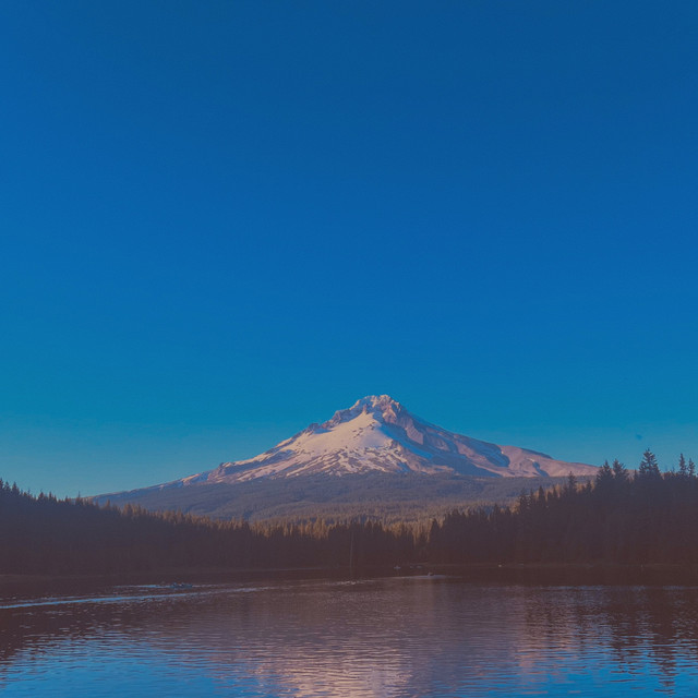 blue cover art