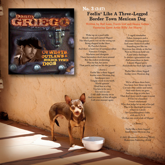 Three-Legged Border Town Dog cover