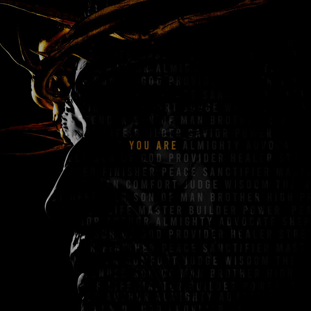 You Are (Live) by HLE