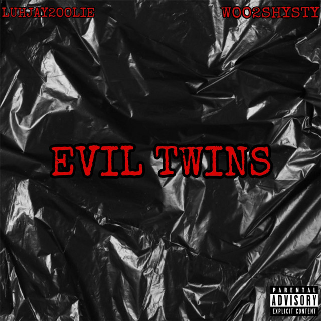 Evil Twins cover art