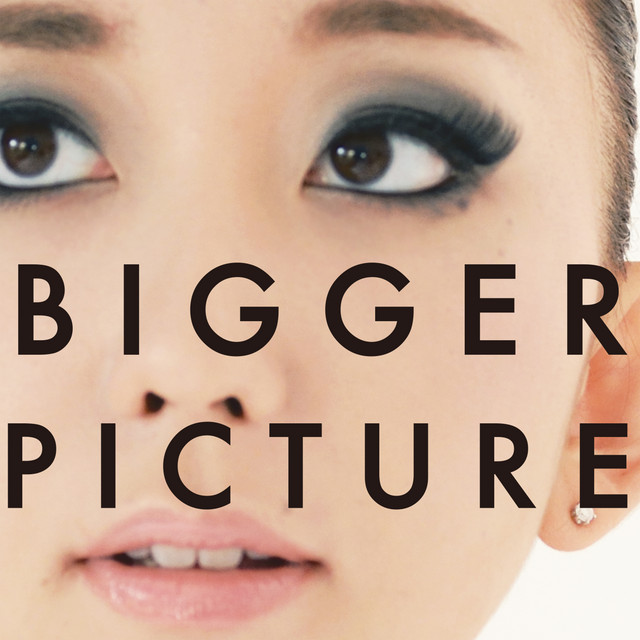 BIGGER PICTURE cover art