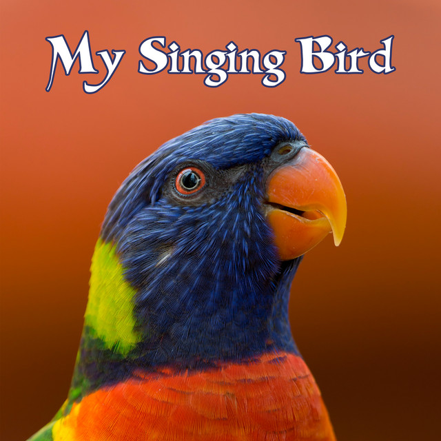 My Singing Bird (Electronic Version) cover art