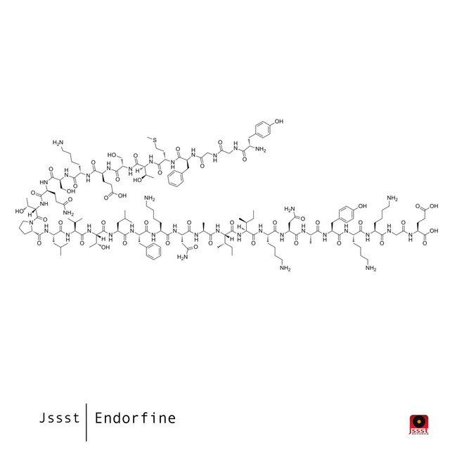 Endorfine cover art