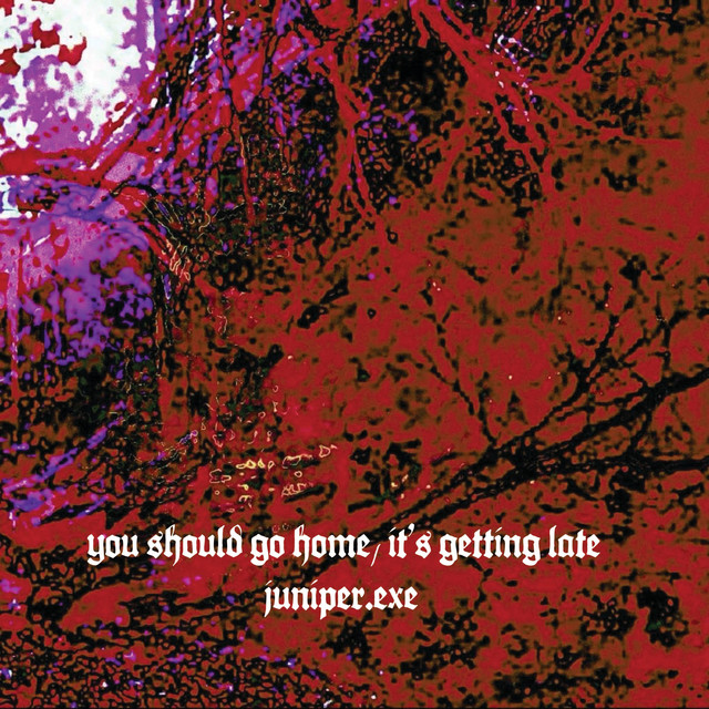 you should go home, it's getting late cover art