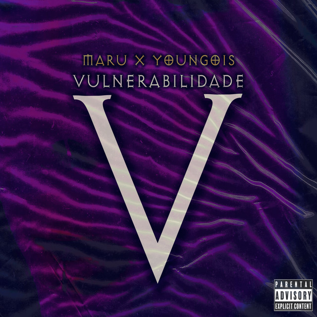 Vulnerabilidade cover art