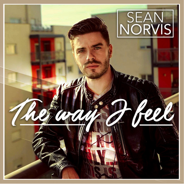 The Way I Feel cover