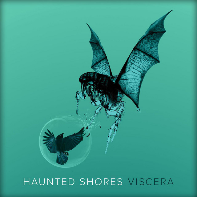 Haunted Shores Photo