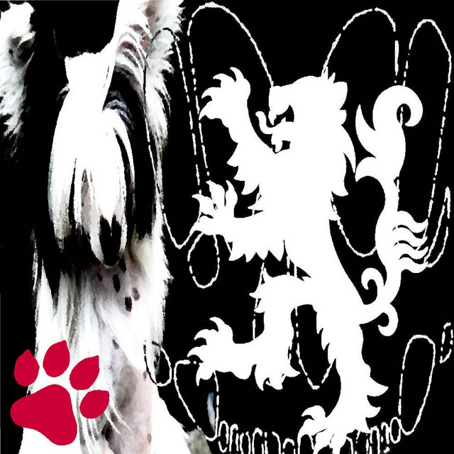10 cover art