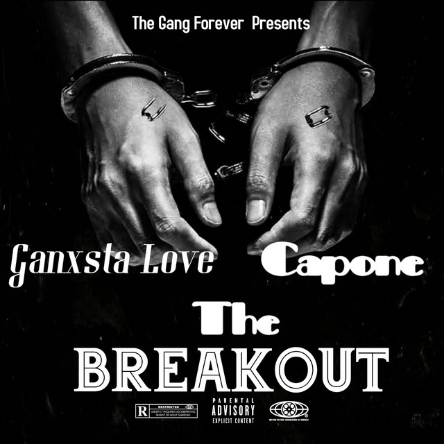 The Breakout cover art