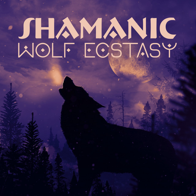 Shamanic Drumming Consort