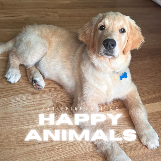 Pet Friends & Co
