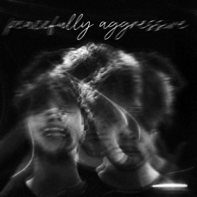 Peacefully Aggressive cover art