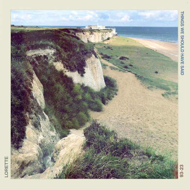 Things We Should Have Said cover art