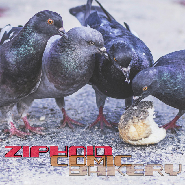 Ziphoid Photo