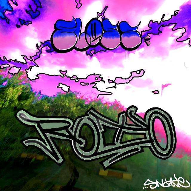 Roto cover art