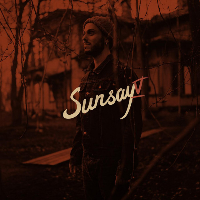 V cover art
