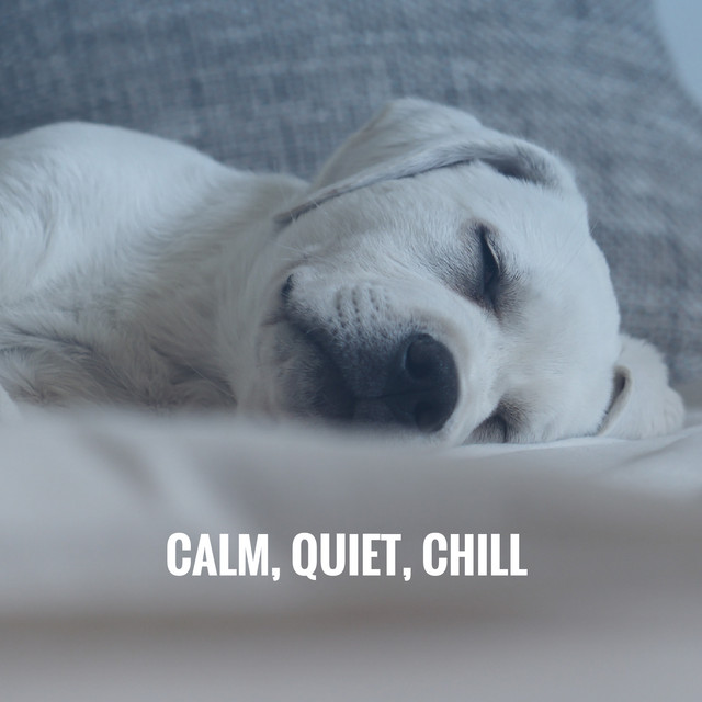 Calm, Quiet, Chill cover art